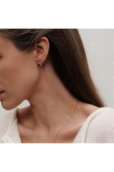 Daniel Wellington Ladies Elan Earrings DW00400146