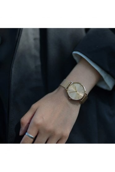 Daniel Wellington Ladies Petite Unitone Gold 28mm Dress Watch DW00100473