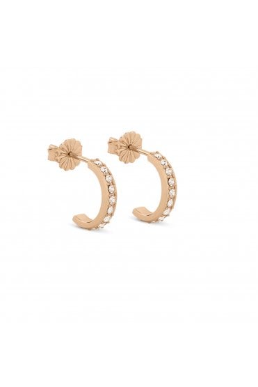 Radley Baylis Road Ladies 18ct Triple Pack Earring Set RYJ1306