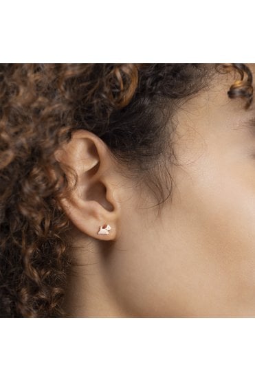 Radley Baylis Road Ladies 18ct Triple Pack Earring Set RYJ1306