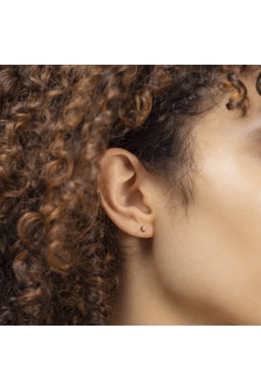 Radley Baylis Road Ladies 18ct Triple Pack Earring Set RYJ1306