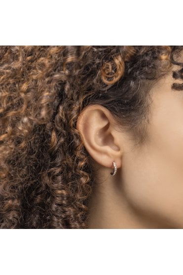 Radley Baylis Road Ladies 18ct Triple Pack Earring Set RYJ1306