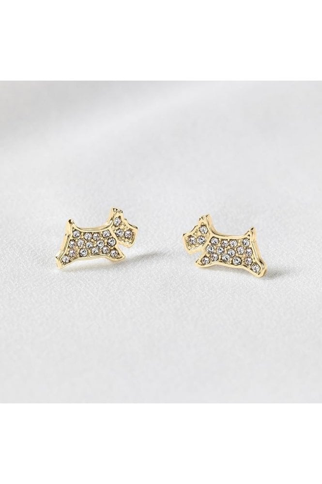 Radley  Dog Stud Earrings RYJ1357S