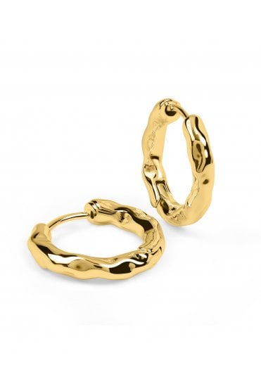 Radley Ladies 18ct Gold Plated Hammered Hoop Earrings RYJ1640S