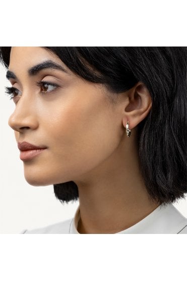 Radley Ladies 18ct Gold Plated Hammered Hoop Earrings RYJ1640S