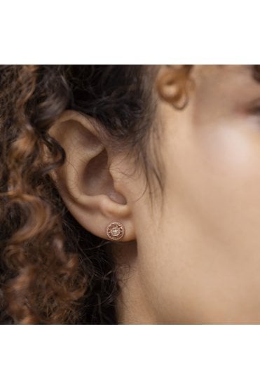 Radley Ladies 18ct Rose Gold Plated Diamond Disc Earrings RYJ1300