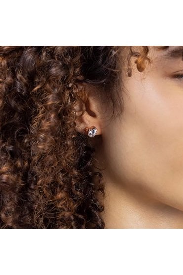 Radley Ladies 18ct Rose Gold Plated Sterling Silver Stud Earrings RYJ1302