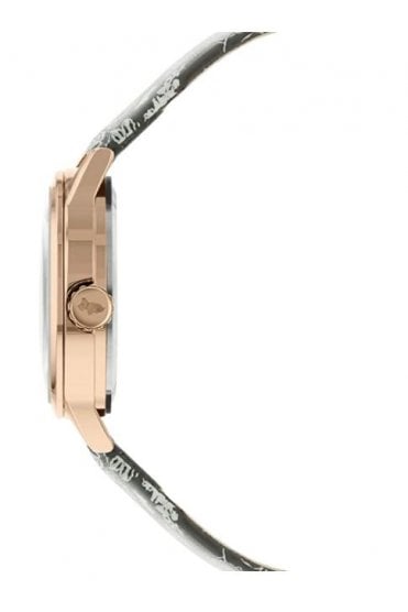 Radley Ladies Analogue Quartz Watch RY21246A