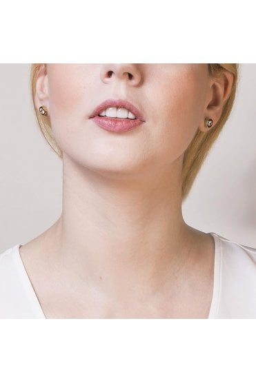 Radley Ladies Cubic Zirconia 18ct Plated Stud Earrings RYJ1032