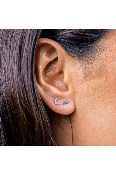 Radley Ladies Galaxy Street Triple Pack Stud Earrings RYJ1355S