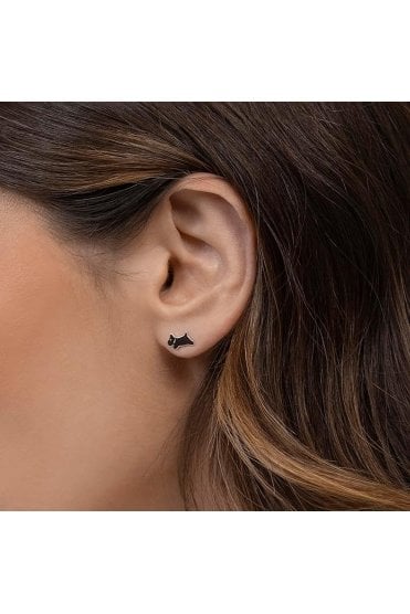 Radley Ladies Sterling Silver Twin Pack Earrings RYJ1433