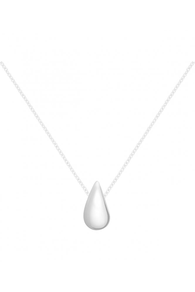 Radley  Silver Plated Teardrop Charm Necklace RYJ2505S